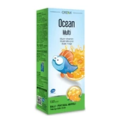 Ocean Multi Ballı Portakal Konsantreli Şurup 150 ml thumbnail 1