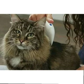 Flea Doctor Pet Hayvanlar İçin Haşere Öldürücü Pilli Pire Tarağı - 2