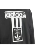 adidas IT5466 FZ HOODIE Çocuk Sweatshirt thumbnail 5