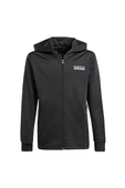 adidas IT5466 FZ HOODIE Çocuk Sweatshirt thumbnail 1