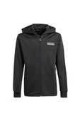 adidas IT5466 FZ HOODIE Çocuk Sweatshirt thumbnail 2