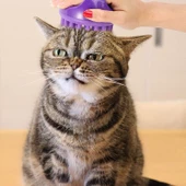 Mikro Dikenli Silikon Masaj Aleti, Kafa ve Selülit Masaj Fırçası - 2