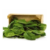 Vena F1 Ispanak Tohumu 100 gr - 1