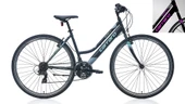 CARRARO ACTIVE 282 28 JANT 460H 21-V VB MAT SIYAH-KOYU-GRI-MOR - 1