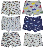 6 Adet Likralı Erkek Çocuk Empirme Desenli Mody Penye Boxer - 4