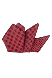 Cengiz İnler Pöti Kareli Desenli Mendilli Mikrofiber Erkek Kravat - 1