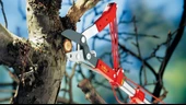 Wolf Garten RC-M Örs Tipi Yüksek Dal Makası - 4