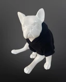 Kedi & Köpek Kıyafeti Sweatshirt - The Dog Face Baskılı Siyah Sweatshirt - 3