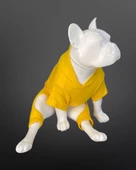 Kedi & Köpek Tulum / Pijama Serisi - Pikachu Baskılı Sarı Tulum - 2