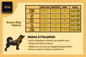 Kedi & Köpek Tulum / Pijama Serisi - Pikachu Baskılı Sarı Tulum - 4
