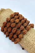 Rudrakşa Bileklik Orjinal Hindistan  Rudraksha 122 - 4
