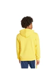 adidas Erkek TREFOIL HOODYL HOODY Sweatshirt IM9409 - 3