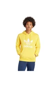 adidas Erkek TREFOIL HOODYL HOODY Sweatshirt IM9409 - 1