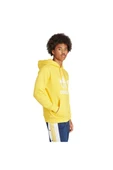 adidas Erkek TREFOIL HOODYL HOODY Sweatshirt IM9409 - 4