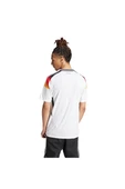 adidas DFB H JSY Forma IP8139 - 6