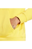 adidas Erkek TREFOIL HOODYL HOODY Sweatshirt IM9409 - 5