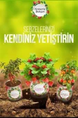 BUFFER® Konserve Bahçem Venüs Et Obur Bitki Yetiştirme Kiti - 3