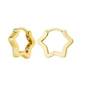 14 Ayar İtalyan Altın Yıldız Küpe 2,8 gr - 4