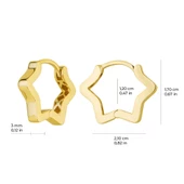 14 Ayar İtalyan Altın Yıldız Küpe 2,8 gr - 5