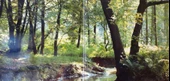 Renate Und Werner Leismann – Drei Weisse Birken 2xLP Pop Vinly Plak alithestereo - 2