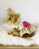 Creamy Fuchia Tütülü Köpek Elbisesi,  Kıyafeti Tutu - 1