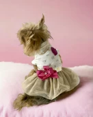 Creamy Fuchia Tütülü Köpek Elbisesi,  Kıyafeti Tutu - 5