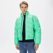 THE NORTH FACE ERKEK CEKET M TNF JACKET 2000 NF0A7URE8YK1 - 1