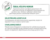 Royal Canin Mini Adult Yetişkin Köpek Yaş Maması 85 Gr x 12 Adet thumbnail 2