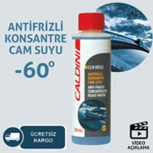 Caldini Oto Kış Bakım Seti 4 Parça +Buz Kazıyıcı Fiber Bez Hediye - 2