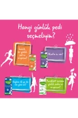 Molped Her Gün Ferahlık Günlük Ped 120 Adet - 6