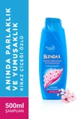 Blendax Anında Parlaklık ve Yumuşaklık Kiraz Çiçeği Özlü Şampuan 500 Ml X 4 Adet - 2