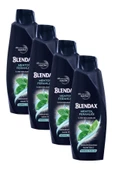 Blendax Erkekler Için Mentollü Şampuan 500 ml X 4 Adet - 1