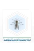 Raid Elekro Likit 2 Yedek, Ekonomik Paket, 60 Gece (sivrisineklere Karşı) - 3