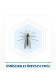 Raid Raid Elekro Likit 2 Yedek, Ekonomik Paket, 60 Gece (sivrisineklere Karşı) - 3