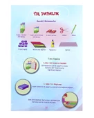 Yaratıcı Çocuklar Sanatsal Etkinlikler Duru Okul Öncesi - 4