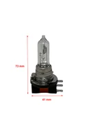 H15 12V 15/55 W PGJ23T-1 Gündüz Far Ampulü - 2