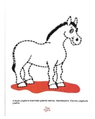 Zebranın Çizgileri thumbnail 2