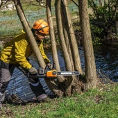 Worx Wg384e 40Volt 2.0Ah Li-İon 35Cm Profesyonel Şarjlı Kömürsüz Zincirli Testere - 9