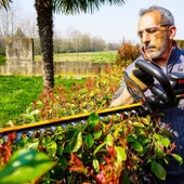 WORX WG263E 20Volt 4.0Ah. Li-ion Tek Akülü 57CM Profesyonel Çit Budama - 5