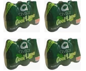 Avşar Cool Lime Nane Limon Aromalı Maden Suyu 200 Ml X 24 Adet - 1