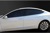 TESLA Model 3 Siyah Cam Rüzgarlık OEM (Made in Korea) - 2