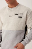 Erkek 3 İplik Pamuklu İçi Polarlı Baskılı 3 renkli Basic Bisiklet Yaka Gri Sweatshirt - 8
