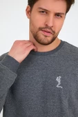 Erkek 3 İplik Pamuklu Regular Fit Nakışlı Bisiklet Yaka Basic Sweatshirt thumbnail 3
