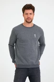 Erkek 3 İplik Pamuklu Regular Fit Nakışlı Bisiklet Yaka Basic Sweatshirt thumbnail 1