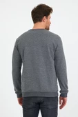 Erkek 3 İplik Pamuklu Regular Fit Nakışlı Bisiklet Yaka Basic Sweatshirt thumbnail 12