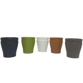 Poliwork 10 lu Gardenya 5,5 cm Plastik Renkli Kaktüs Saksısı - 1