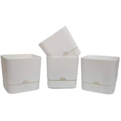 Poliwork 4 lü Begonya Kare 13 cm Plastik Renkli Tabaklı Saksı - 3