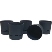 Poliwork 5 li Begonya 12 cm Plastik Renkli Tabaklı Saksı - 3