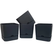 Poliwork 4 lü Begonya Kare 13 cm Plastik Renkli Tabaklı Saksı - 4