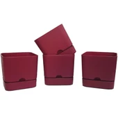 Poliwork 4 lü Begonya Kare 13 cm Plastik Renkli Tabaklı Saksı - 2